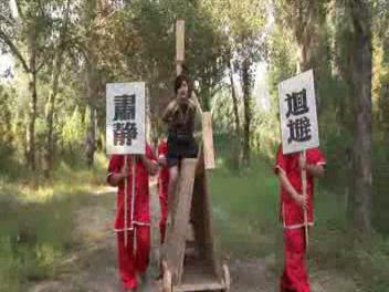 丽佳美亚 刁刘氏 骑木驴版[00-48-29][20250419-074251785].jpg