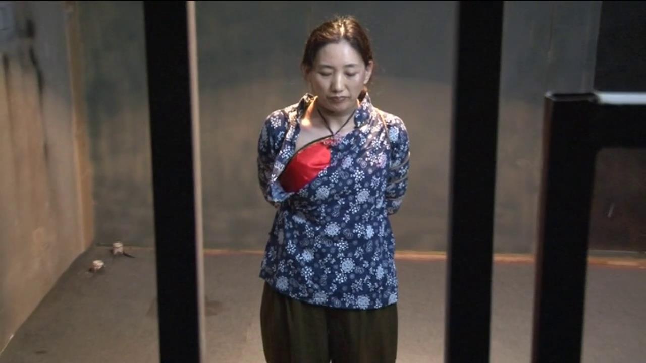 MJ影视 妖女峰女匪 苗琼[00-08-33][20250518-143458847].jpg